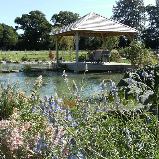 amenagement-bassin-naturel