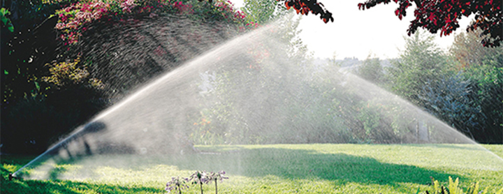 Arrosage automatique en action dans un jardin.